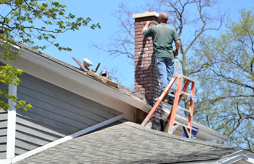 Chimney & Fireplace Inspections Services in Arlington, TX